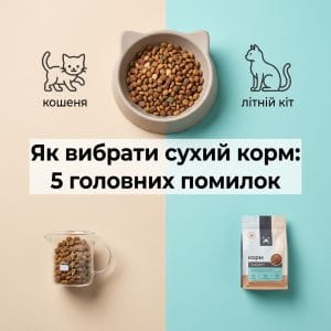 П'ять головних помилок при виборі сухого корму для котів: головне зображення-гайд.
